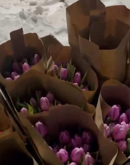 Тюльпаны по очень выгодным ценам