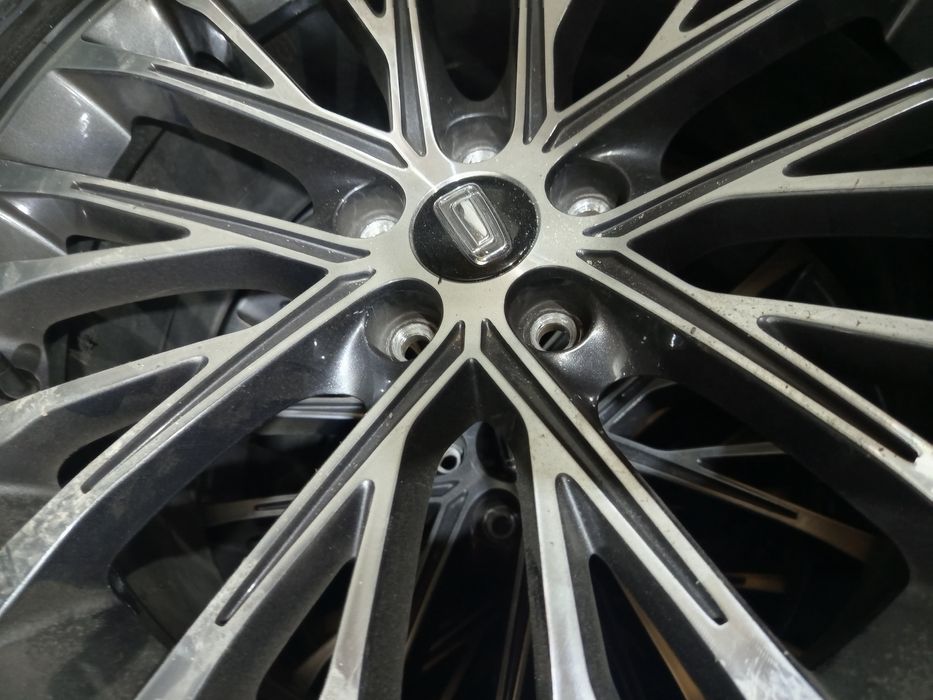 Bestium moshinani arginal diskasi