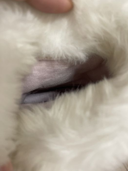 Новые,оригинал Crocs