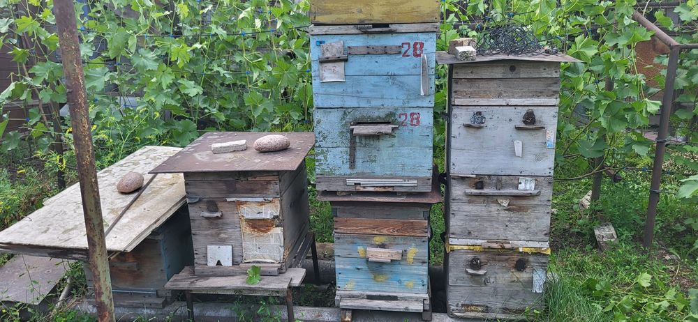 Ульи для пчёл, корпуса, рамки