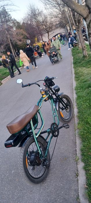 Pegas Partizan Electric acumulator nou 1 kwh