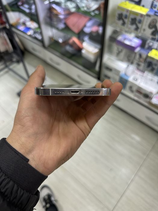 iphon 12 pro max ideal