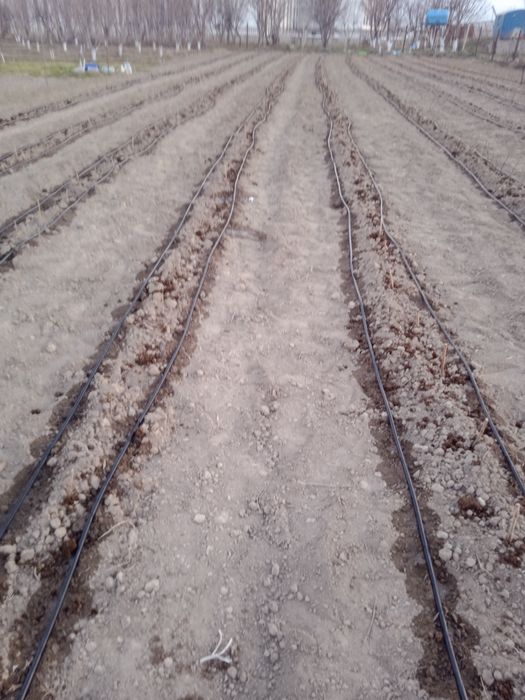 Tomchilab sugorish palifka xizmati