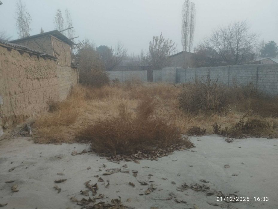 Янгийўл тумани Тинчлик махалласи уй сотилади 6 соток