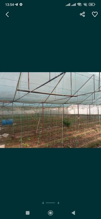 Parnik sotiladi 5 sotiq