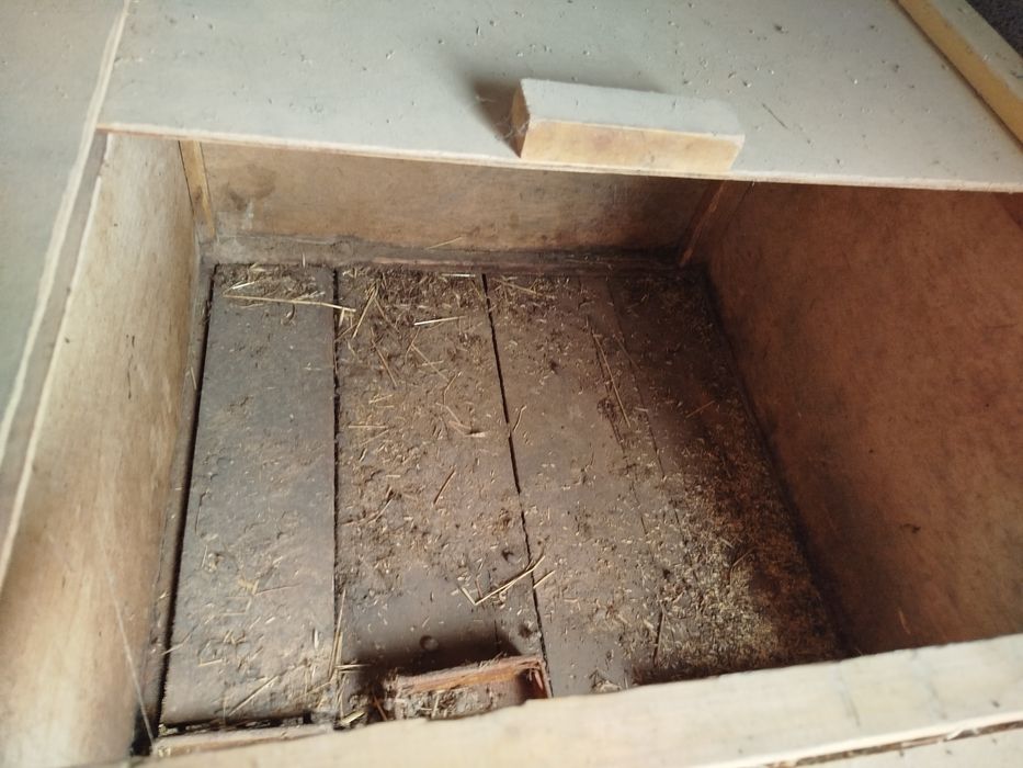 Клетки для кроликов маточники