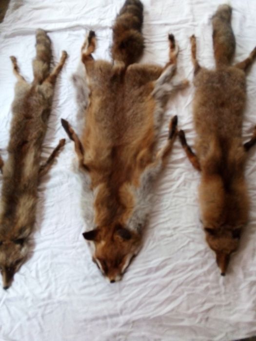 Дамски яки от лисичи цели кожи