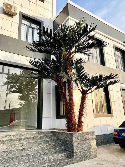Sun’iy palma daraxtlari | ECO PALMA | 30% chegirma