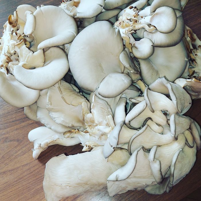 Грибочки  солёные