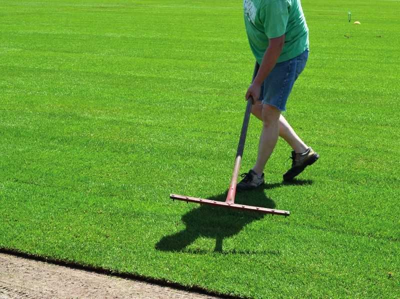 GAZON RULOU sport - Craiova