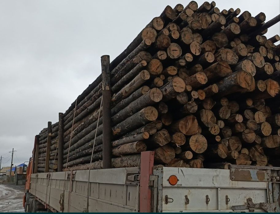 Строительство ремонт