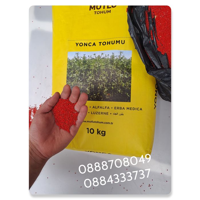 Люцерна семе.клас F1