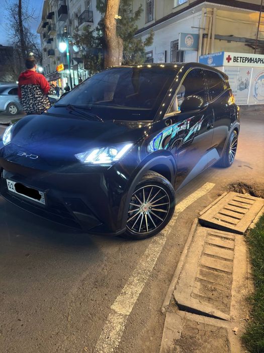 Byd seagull flying 100% тозза