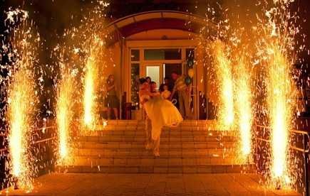 профессиональная ведущая, тамада