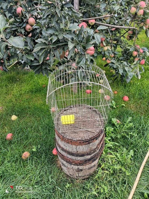 Продавам клетки птички.