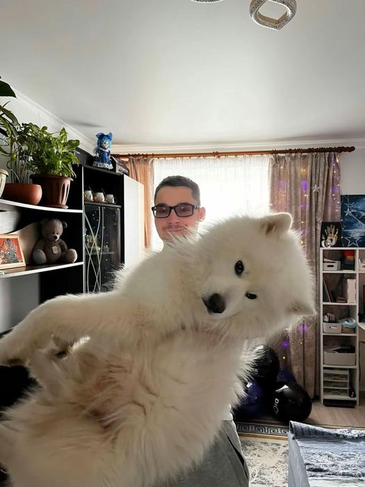 Предлагается самоед кабель для вязки