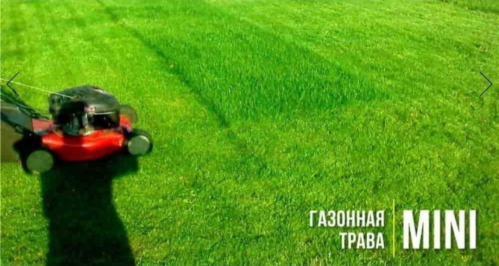 Семена газона (Быстрорастущие)