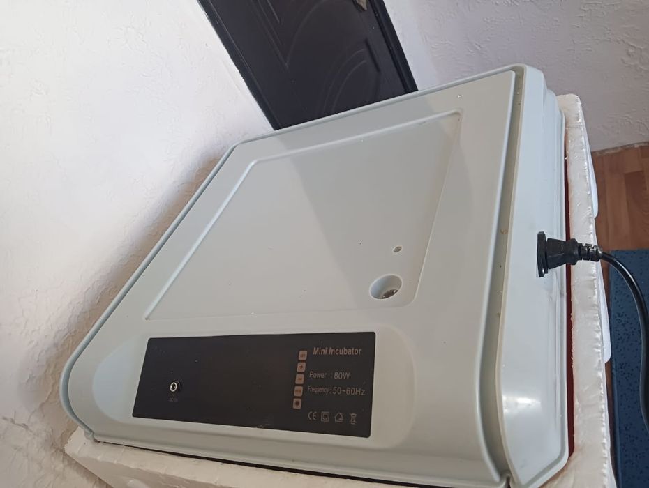 Инкубатор и перосьемная иашинка