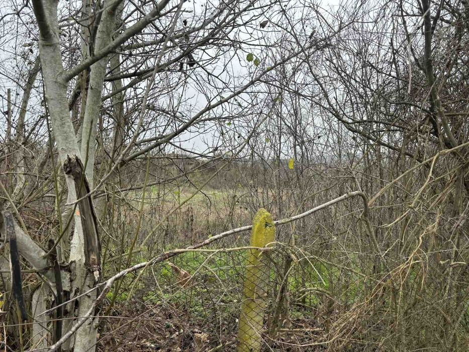 Дворно място с. Славейково