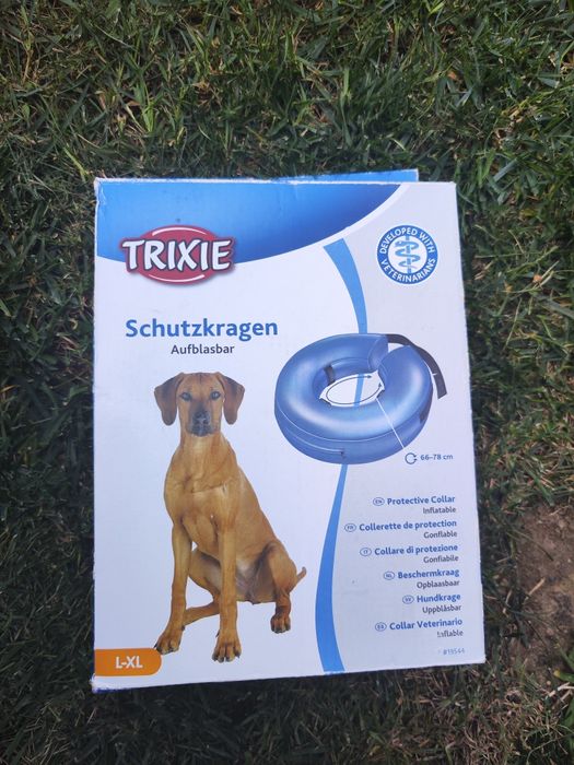 Guler protectie gonflabil caini