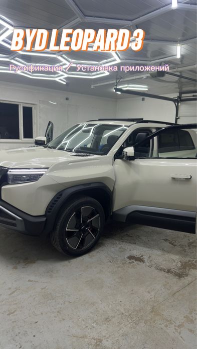 Мастер Русификация BYD LEOPARD