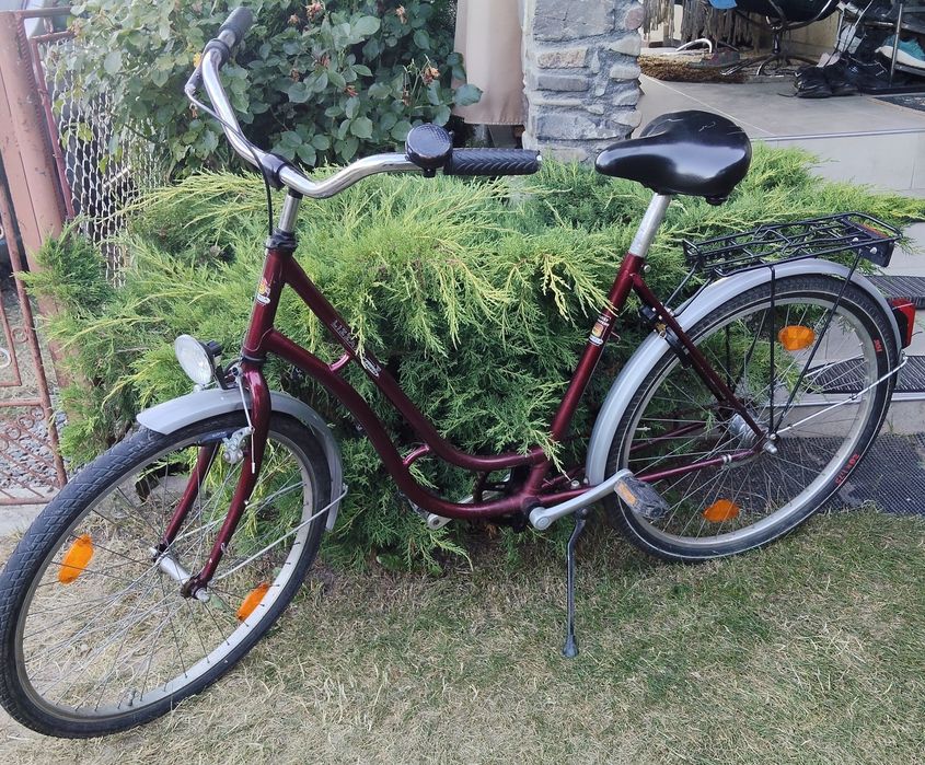 Bicicleta olandeză adulți /damă single speed