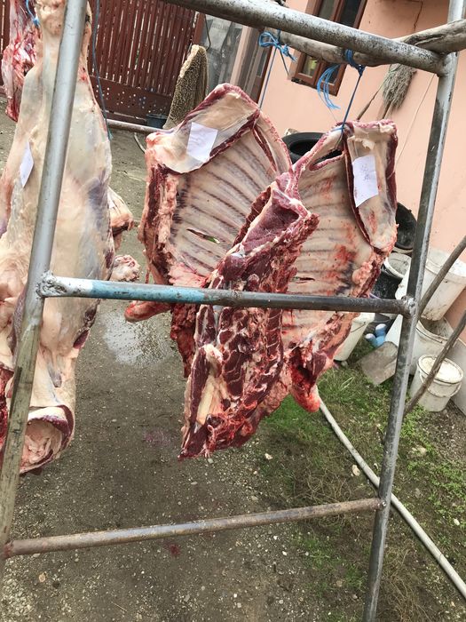 Macelar la domiciliu