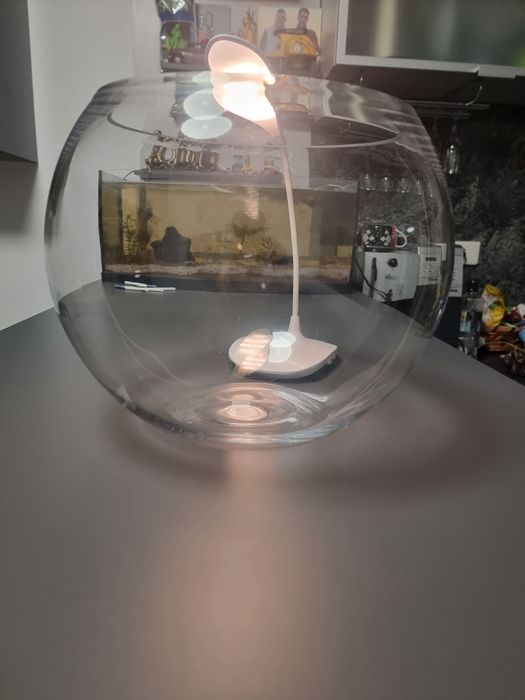 Acvariu bol betta +lampa nou