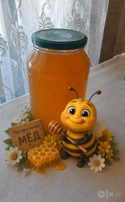 Asal. Vodiyniki toza asal