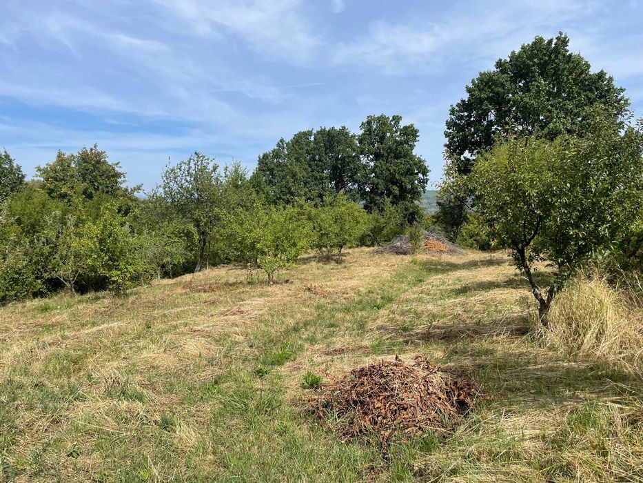 Teren intravilan 2.359 mp Valea lui Enache, Baiculesti, apa, curent, asfalt