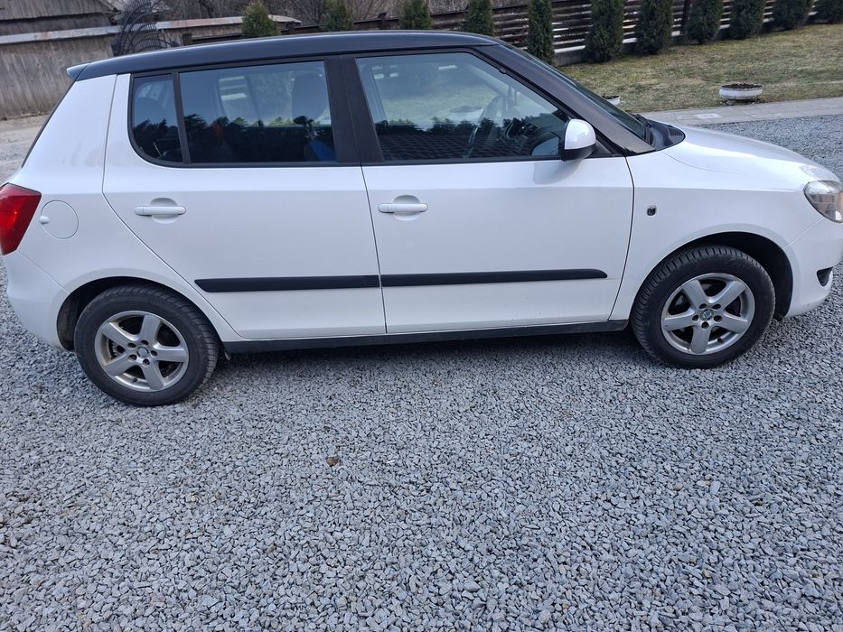 Vand Skoda Fabia