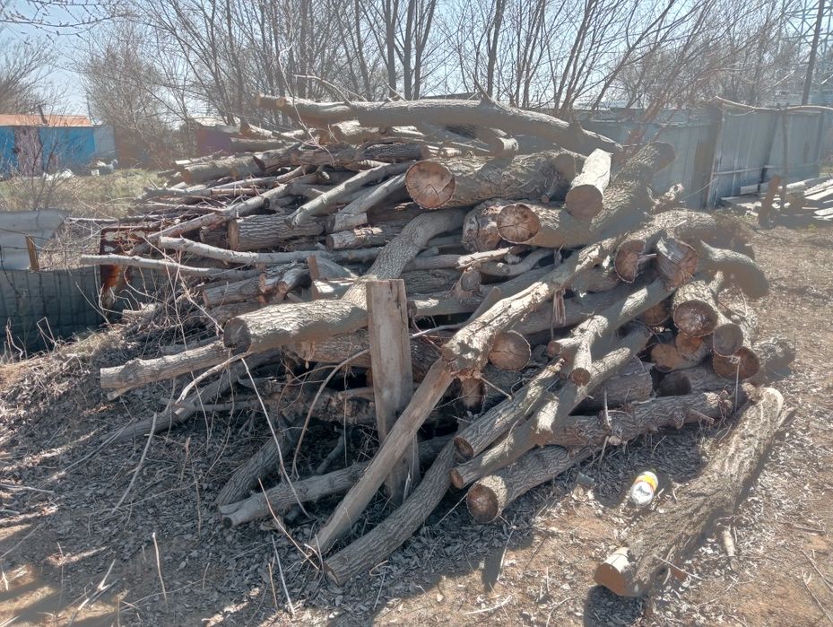 Продам дрова для шашлычных карагач