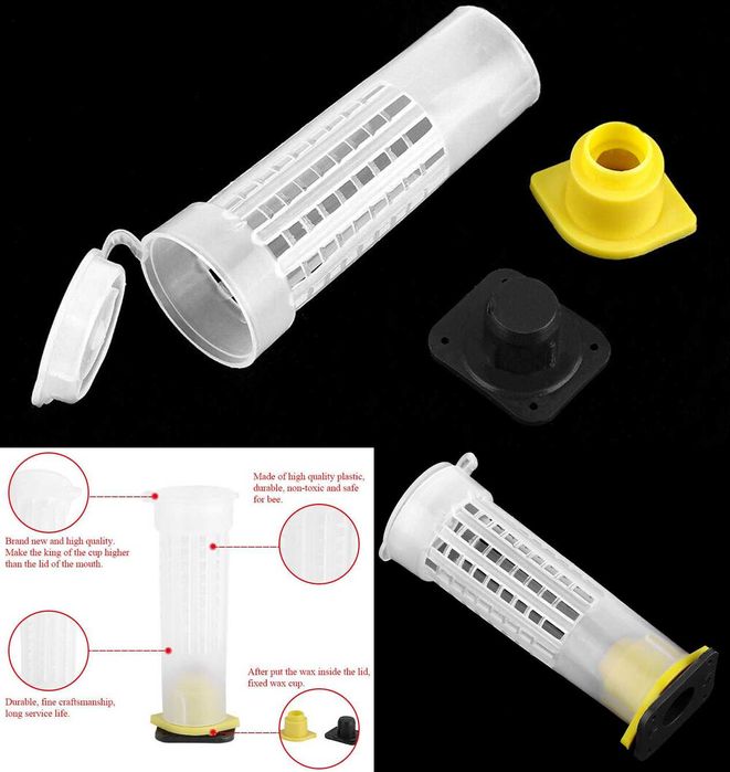 10 bucati Cusca matca albine! 2.6x7.8cm Noi ambalate!