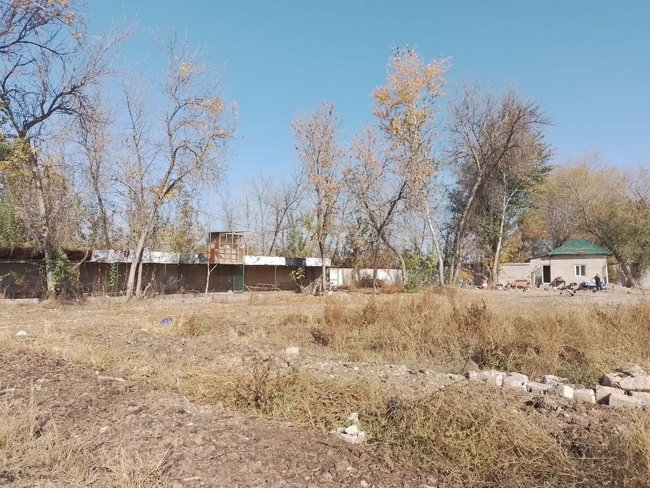 Прадаётся земля в г Янгиюль  200 сотих variantkayam beraman