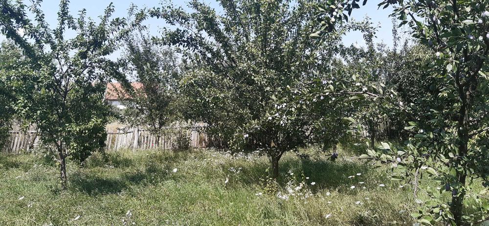 Parcela 946mp (teren total 1769mp), Str. Grigore Vieru, Alba Iulia