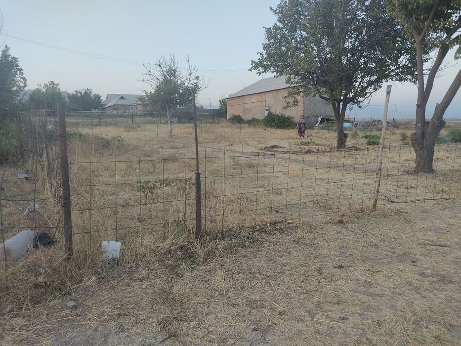 Geolog maxallasida yer maydoni