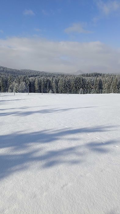 Cabana de inchiriat cota 1200 Tihuta