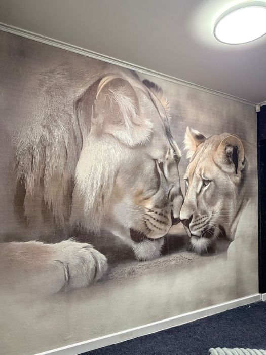 Поклейка обоев КАЧЕСТВЕННО