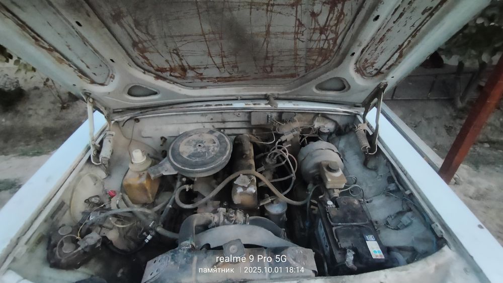 Volga 24 10 sotiladi