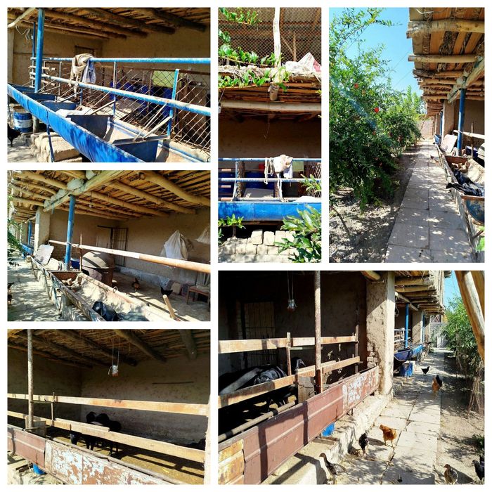 Ховли уй сотилади 15 сутих 4-хонали. Тошкент вилоят Урта Чирчик