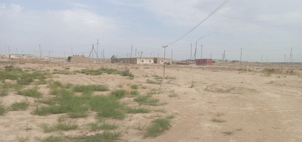 1-Гектар ерда булган 5000талик товукхона ва тайор бизнеслар сотувда