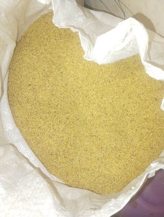 Тары жарма оптом бағада