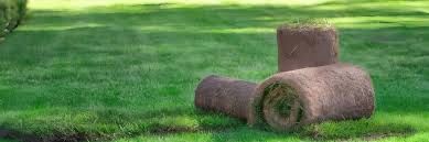 Рулон газон высшего качества