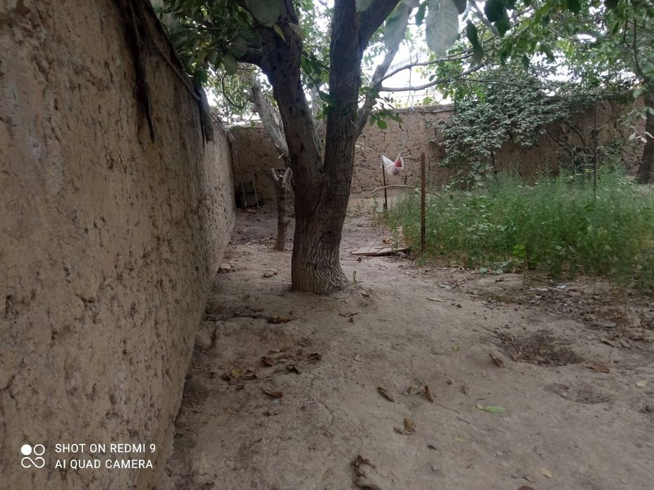 Продается 3 комнатный дом с большой земельной  площадью