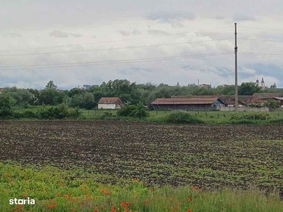 Teren extravilan arabil – 8.700 mp – Gușterița