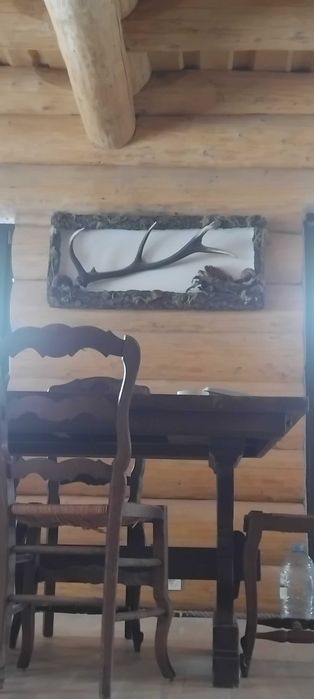 Tablou natural  original din bucovina