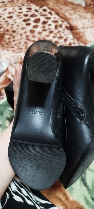 Etik sotalidi sifati zur