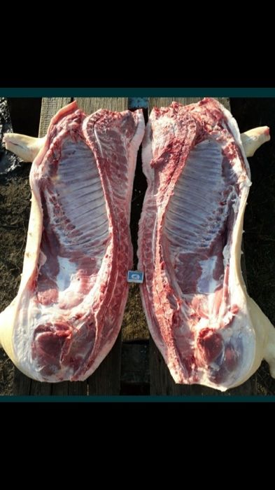 Мясо свинина 1900