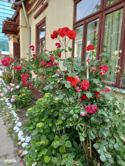 Casa cu teren - Pitesti centru