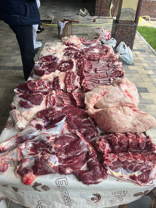 Эҳсон, Ақиқа, қурбонлик хизматлари